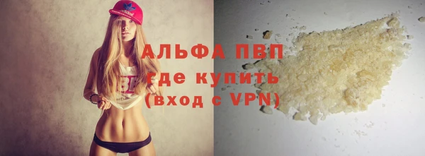хмурый Абаза