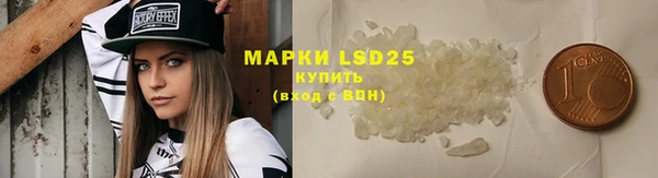 хмурый Абаза
