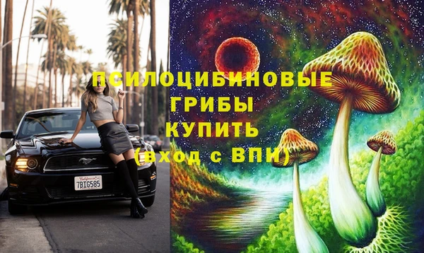 хмурый Абаза