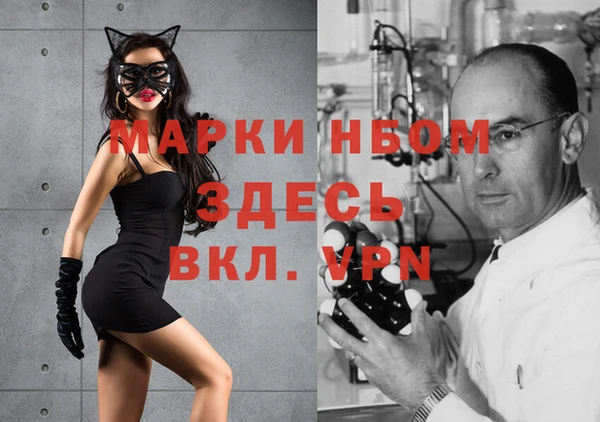 индика Абдулино