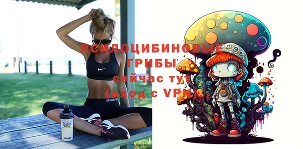 хмурый Абаза