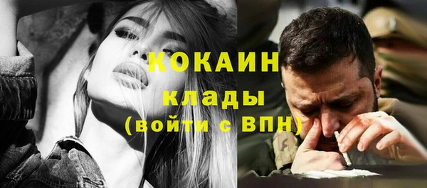 хмурый Абаза