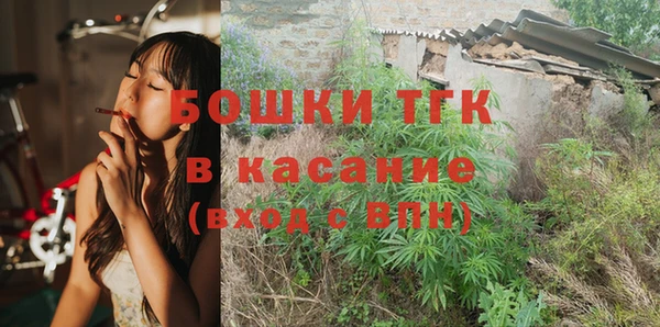 индика Абдулино