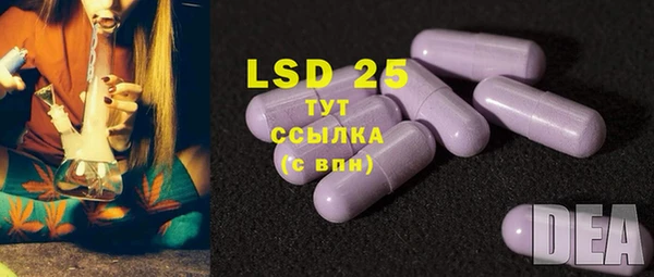 хмурый Абаза