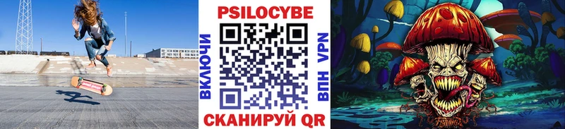 купить наркотик  Южноуральск  Псилоцибиновые грибы GOLDEN TEACHER 