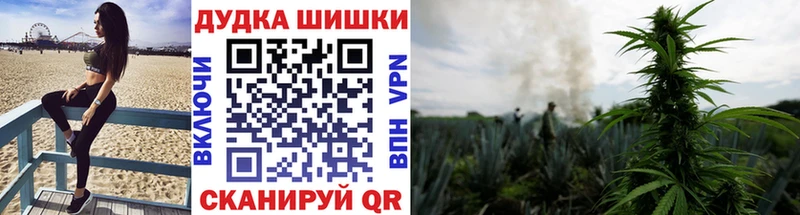 Бошки Шишки марихуана  где купить наркоту  Южноуральск 